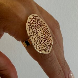 Anillo Dinastía